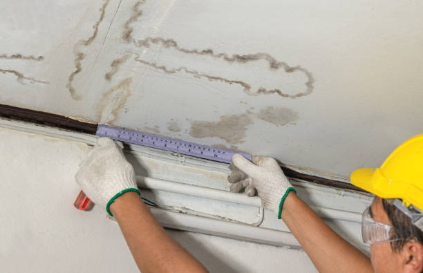 Reliable Water Damage Repair contractor in Mount Hope, AL by Hirex Water Damage
